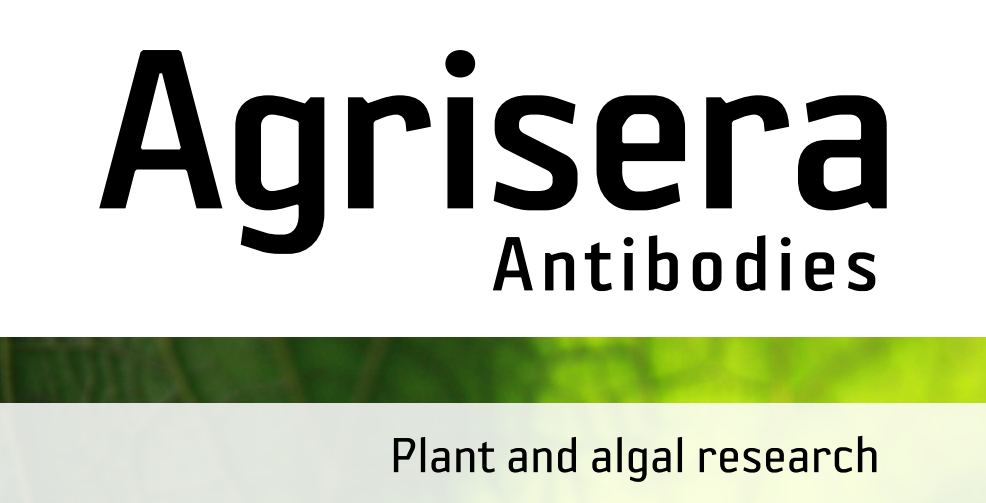 Agrisera MicroRNA相關研究植物蛋白抗體火熱促銷中！